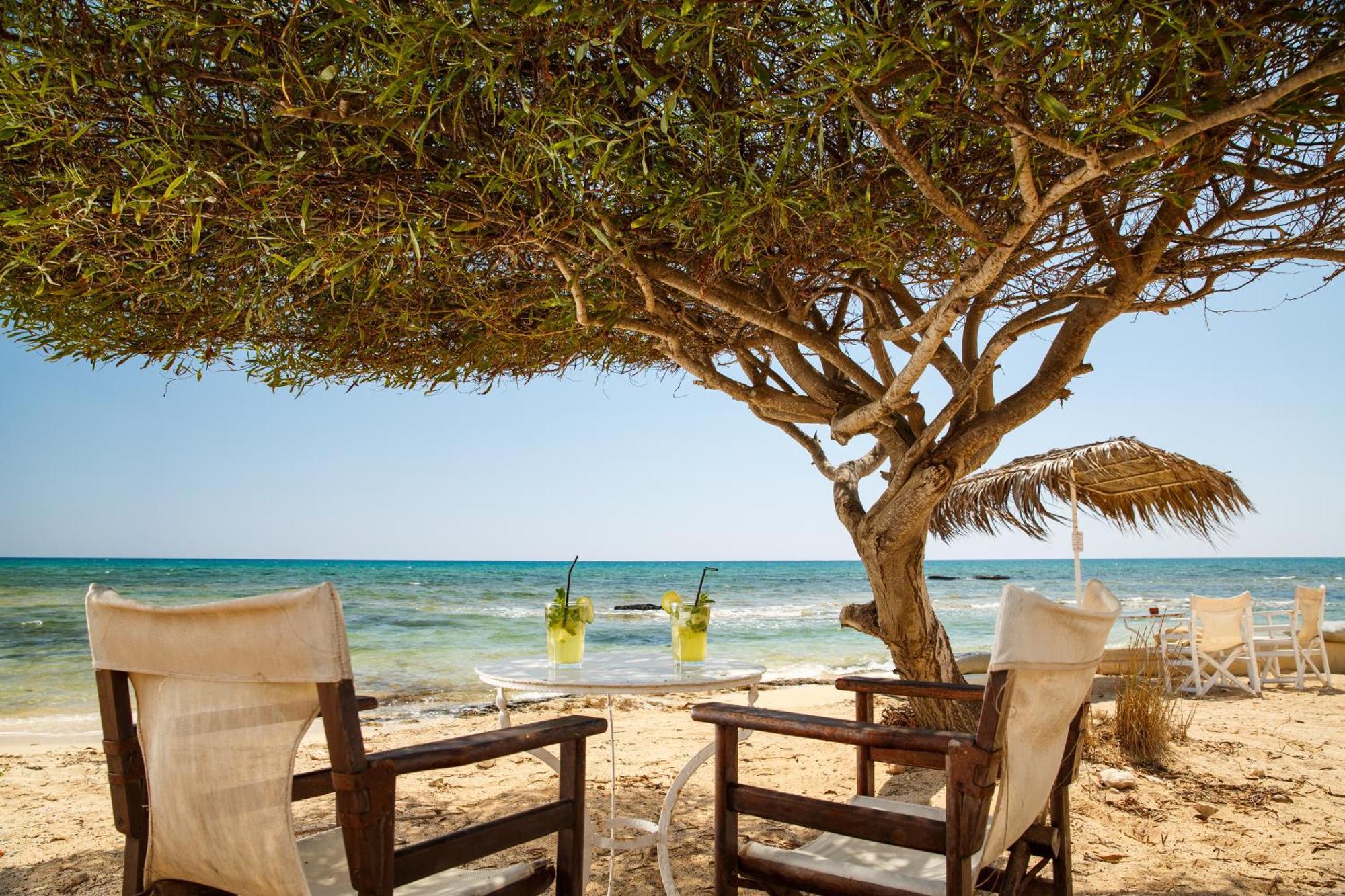 Thalassines Villas Ayia Napa Ngoại thất bức ảnh